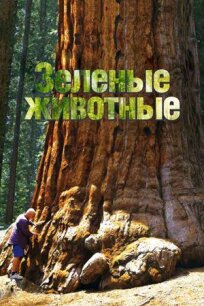 Зелёные животные онлайн бесплатно