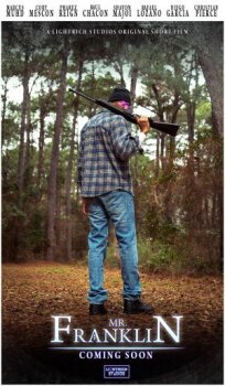 Мистер Франклин (2022)