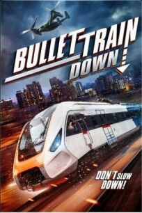 Крушение скоростного поезда онлайн бесплатно