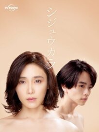 Синица онлайн бесплатно