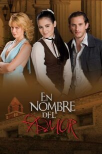 Во имя любви (2008)