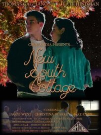 Коттедж "Новый юг" (2022)