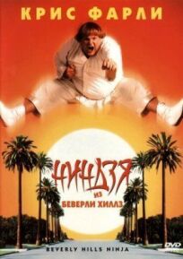 Ниндзя из Беверли Хиллз онлайн бесплатно