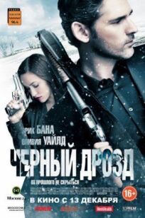 Чёрный дрозд (2012)