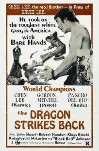 Меня зовут Шанхайский Джо онлайн бесплатно