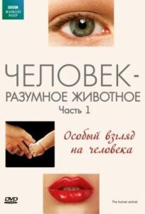 BBC: Человек — разумное животное онлайн бесплатно