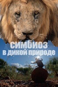 Симбиоз в дикой природе (2023)