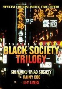 За гранью дозволенного (1999)