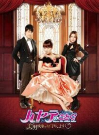 Хаятэ, боевой дворецкий онлайн бесплатно