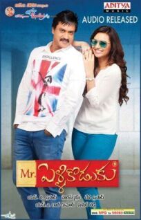 Мистер Жених онлайн бесплатно