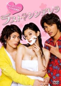 Последняя Золушка (2013)