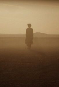 Отголоски (2014)