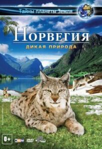 Норвегия 3D: Дикая природа онлайн бесплатно