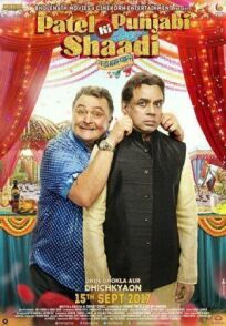 Пенджабо-гуджаратская свадьба (2017)