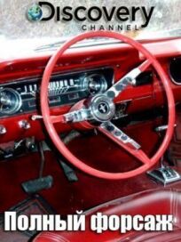 Полный форсаж (2014)