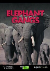 Гангстеры дикой природы (2014)