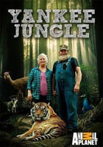 Джунгли Северной Америки онлайн бесплатно