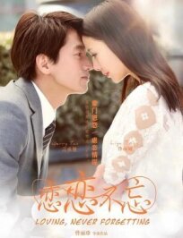 Незабываемая любовь (2014)