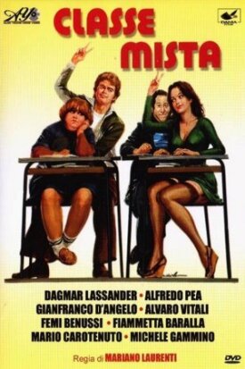Смешанный класс (1976)