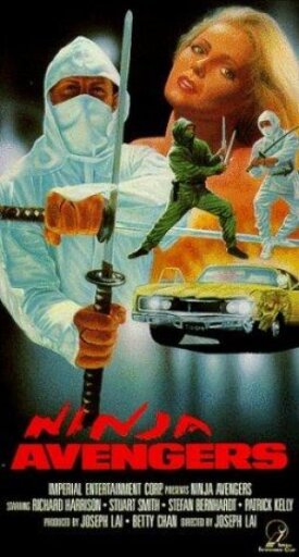 Ниндзя-мстители (1987)