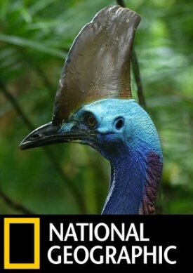 Птица-динозавр (2017)